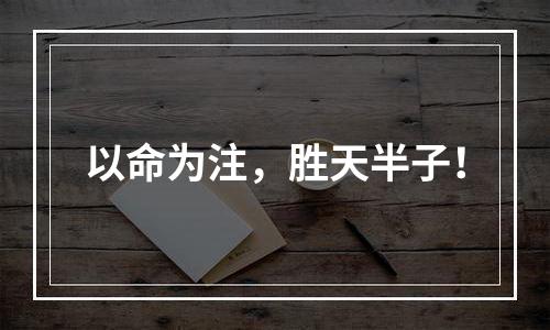 以命为注，胜天半子！