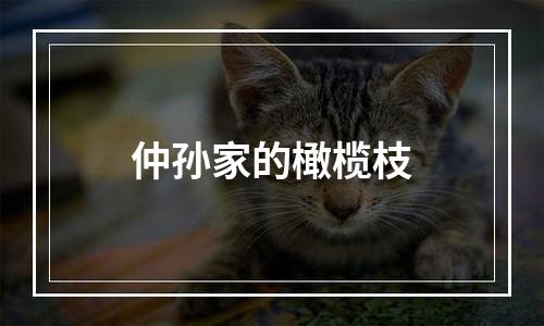 仲孙家的橄榄枝