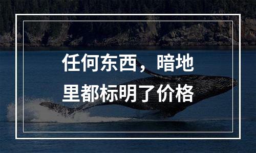 任何东西，暗地里都标明了价格