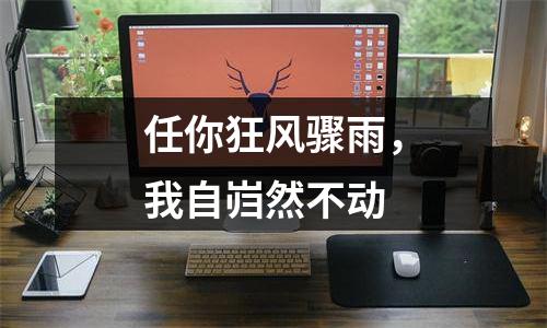 任你狂风骤雨，我自岿然不动