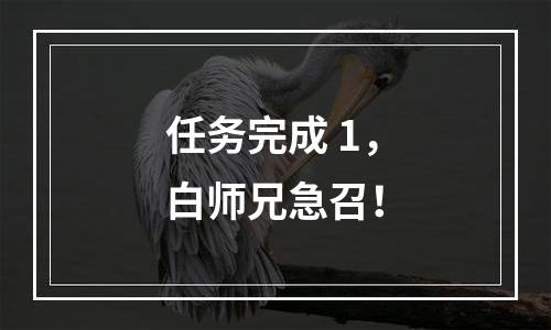 任务完成+1，白师兄急召！