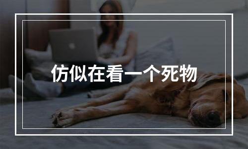 仿似在看一个死物