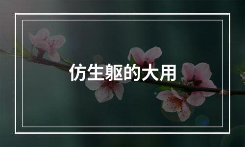仿生躯的大用