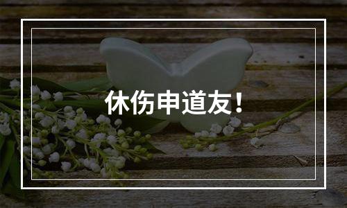 休伤申道友！