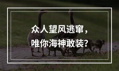 众人望风逃窜，唯你海神敢装？