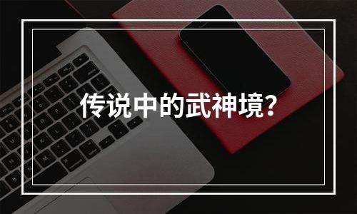 传说中的武神境？