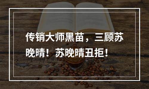 传销大师黑苗，三顾苏晚晴！苏晚晴丑拒！