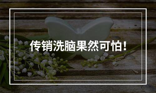 传销洗脑果然可怕！