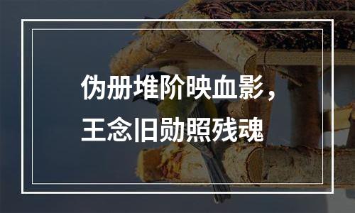 伪册堆阶映血影，王念旧勋照残魂