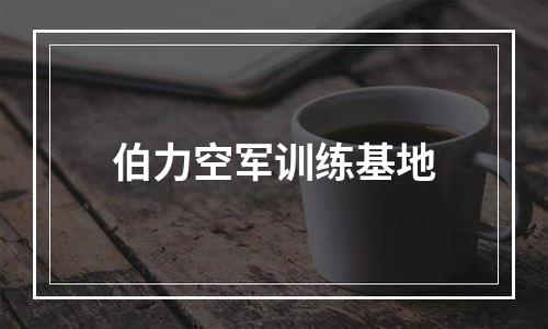 伯力空军训练基地