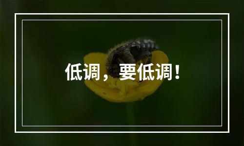 低调，要低调！