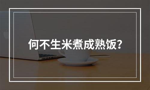何不生米煮成熟饭？