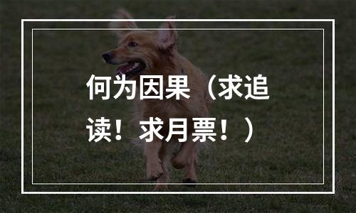 何为因果（求追读！求月票！）