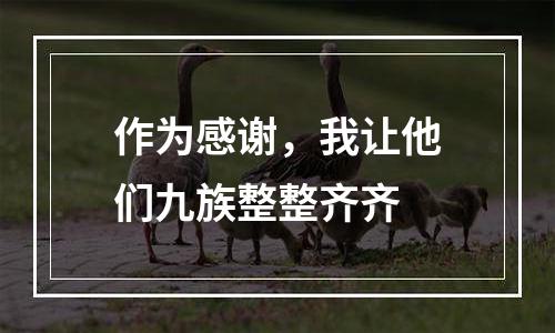 作为感谢，我让他们九族整整齐齐