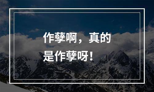 作孽啊，真的是作孽呀！