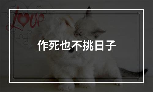 作死也不挑日子