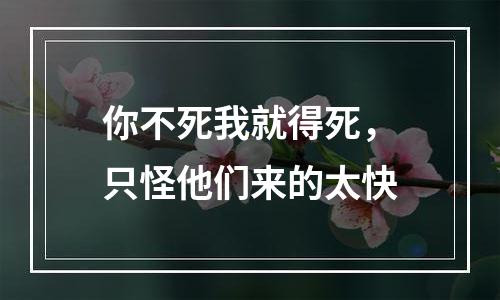 你不死我就得死，只怪他们来的太快