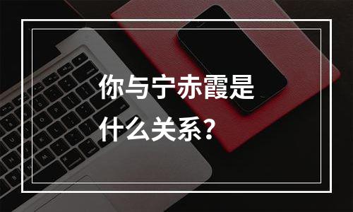 你与宁赤霞是什么关系？