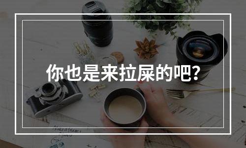 你也是来拉屎的吧？
