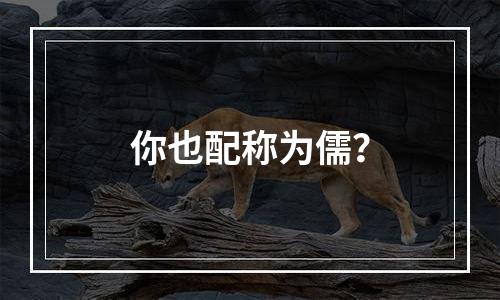 你也配称为儒？
