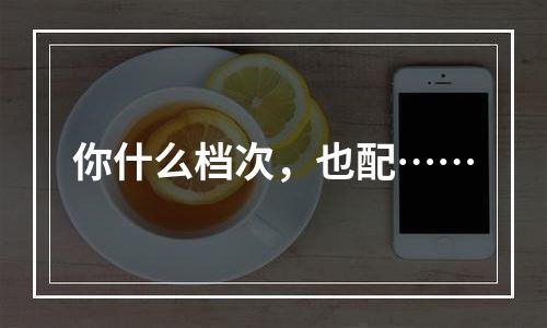 你什么档次，也配……