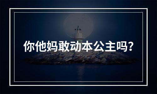 你他妈敢动本公主吗？