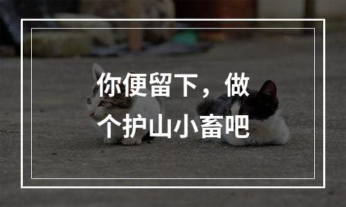 你便留下，做个护山小畜吧