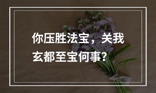 你压胜法宝，关我玄都至宝何事？
