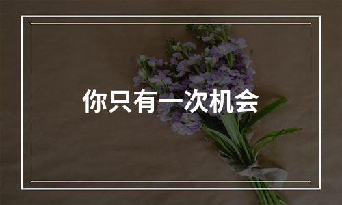 你只有一次机会