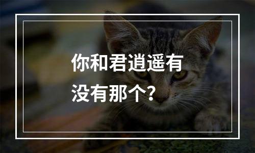 你和君逍遥有没有那个？