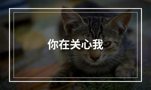 你在关心我