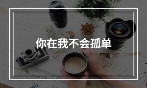 你在我不会孤单