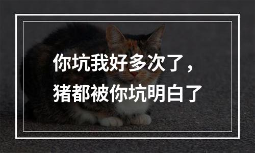 你坑我好多次了，猪都被你坑明白了