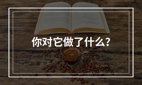 你对它做了什么？