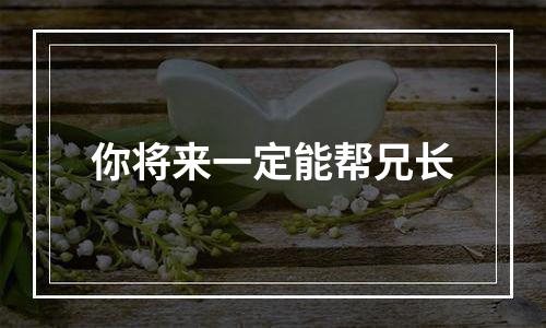 你将来一定能帮兄长