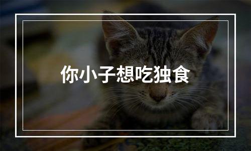 你小子想吃独食