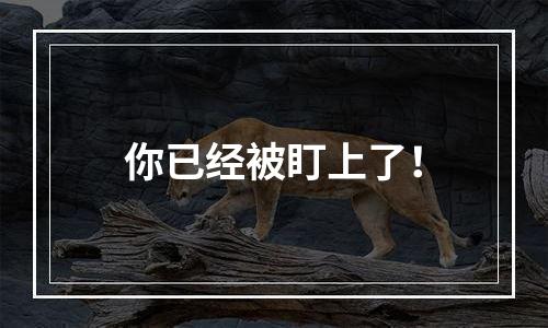 你已经被盯上了！