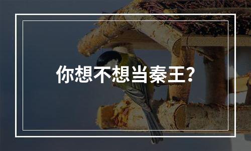 你想不想当秦王？