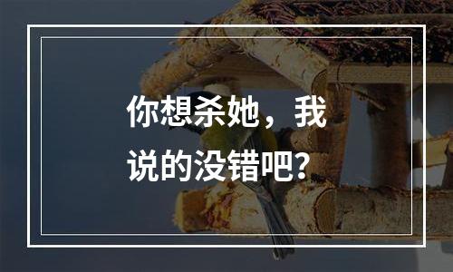 你想杀她，我说的没错吧？