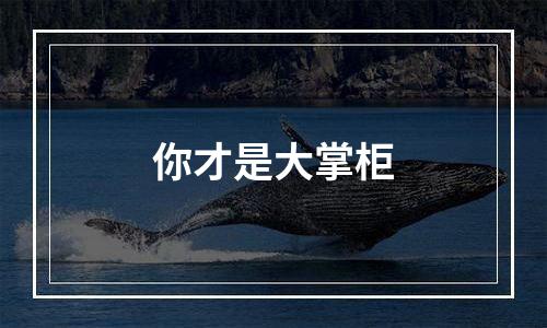 你才是大掌柜