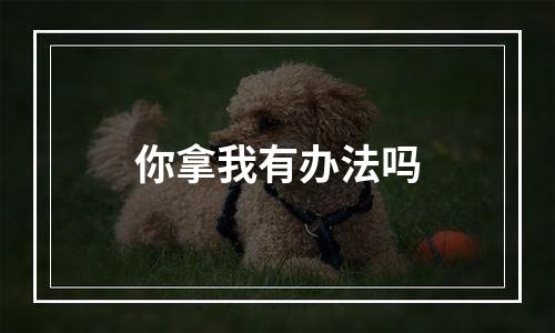 你拿我有办法吗