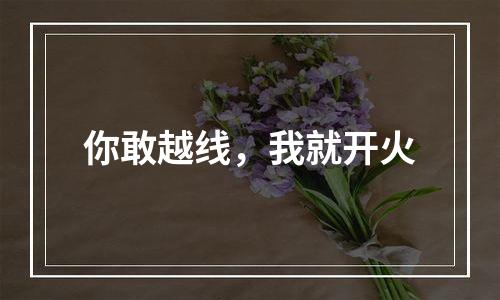 你敢越线，我就开火