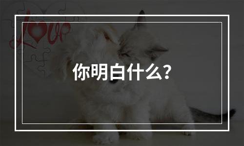 你明白什么？
