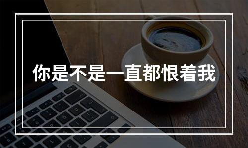 你是不是一直都恨着我