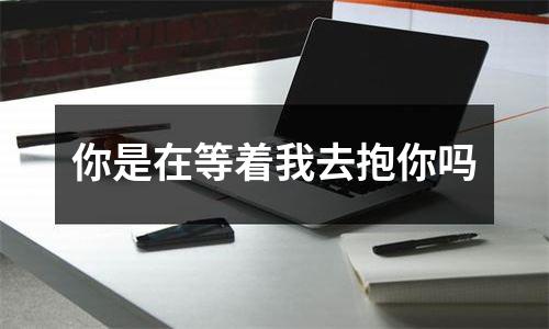你是在等着我去抱你吗
