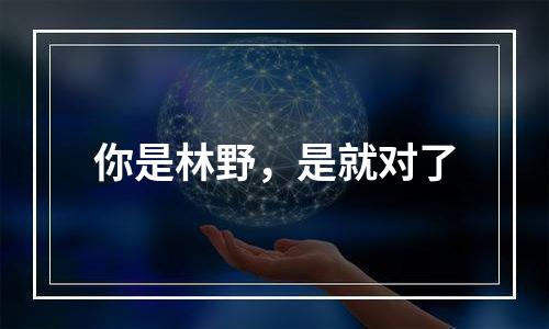 你是林野，是就对了