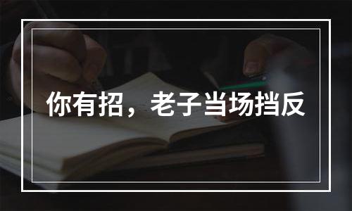 你有招，老子当场挡反