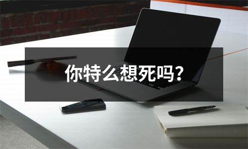 你特么想死吗？
