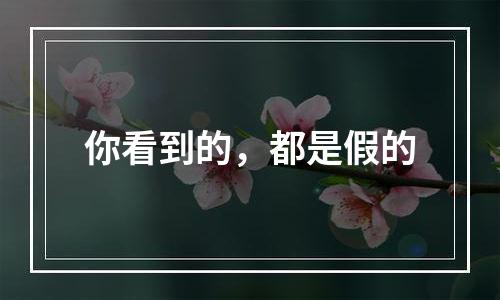 你看到的，都是假的