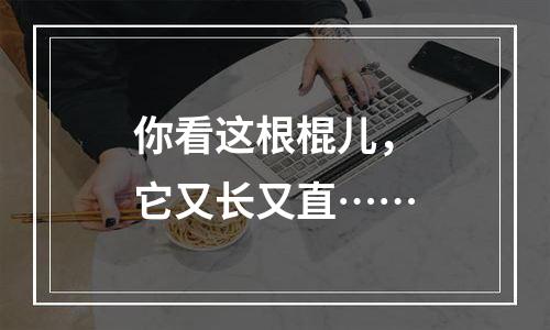 你看这根棍儿，它又长又直……